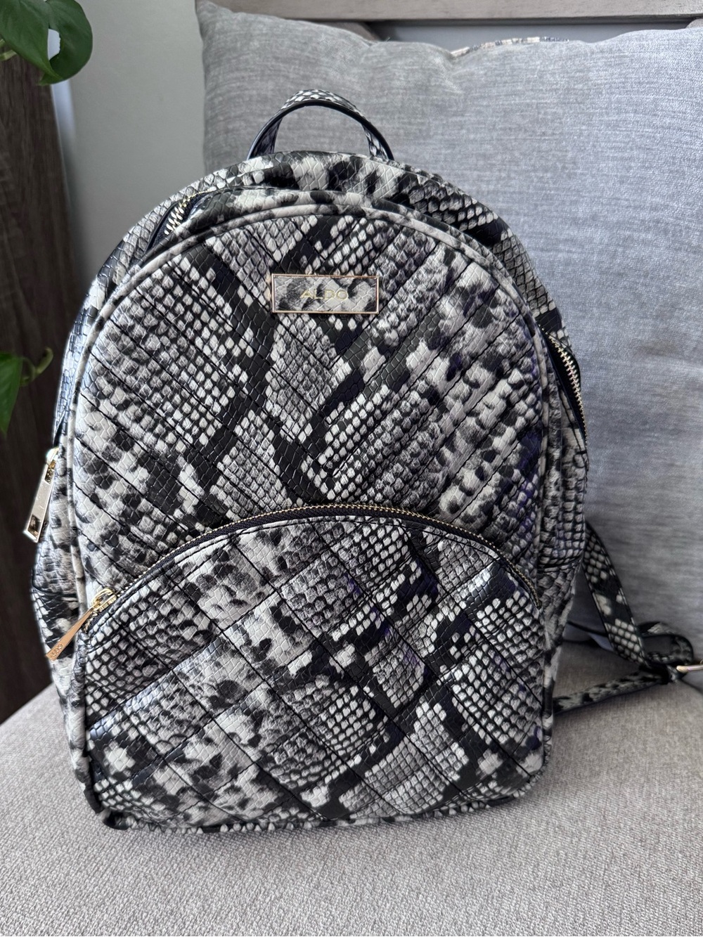 Aldo Mini Backpack - Picture 3 of 5